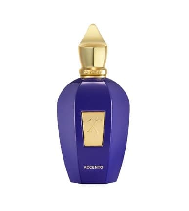Xerjoff Accento - عطر للجنسين  - EDP - 100 مل